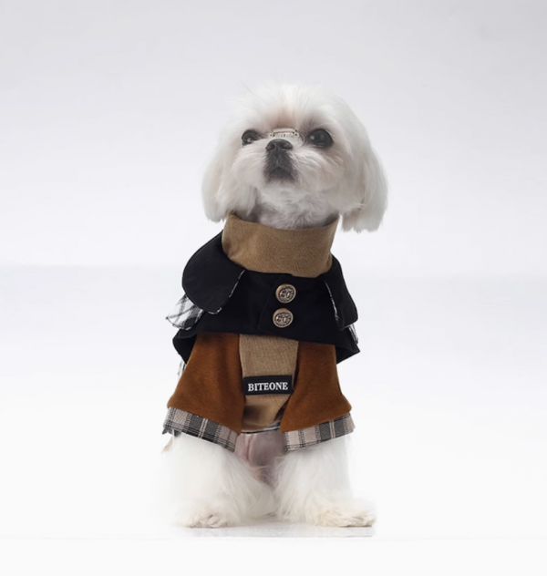 British Elegance – Autumn and Winter Outfits for Cats and Dogs