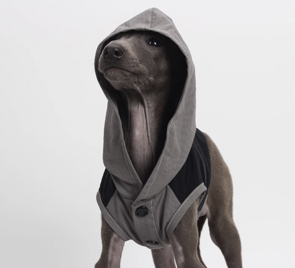 Off-Roader Black & Grey – Spring and Summer Waterproof Jacket for Dogs